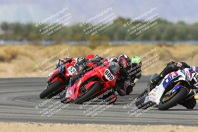 media/Feb-09-2025-CVMA (Sun) [[503986ac15]]/Race 7-Stock 1000 Shootout/